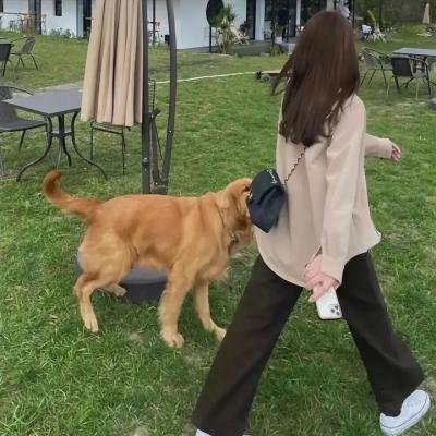 妮波自由式